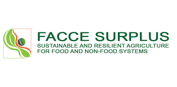 Facce Surplus
