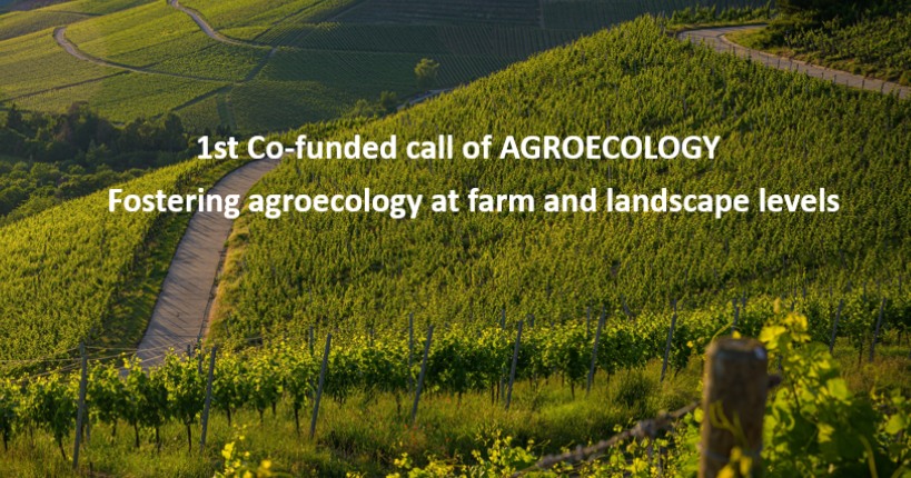 1st Co-funded call of AGROECOLOGY