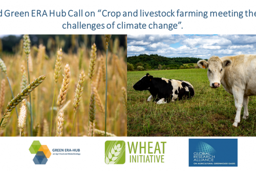 2024 Joint International Green ERA-Hub Call Now Open!