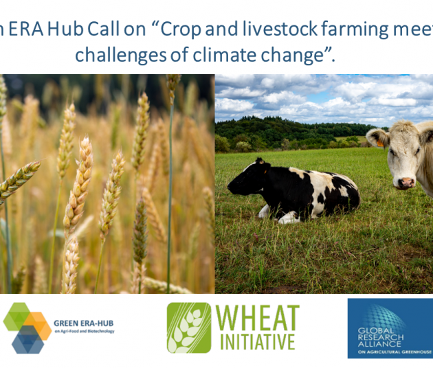 2024 Joint International Green ERA-Hub Call Now Open!